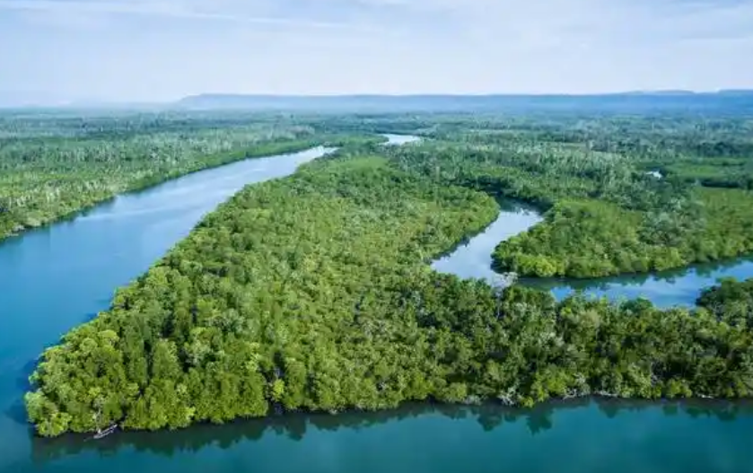 OBP海洋塑料認證對海洋垃圾回收循環利用及標簽使用規范