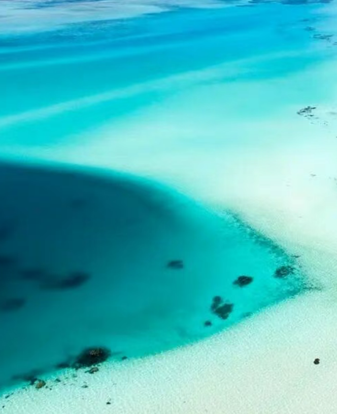 OCI認證對海洋塑料垃圾回收生產工序碳減排來源追溯體系