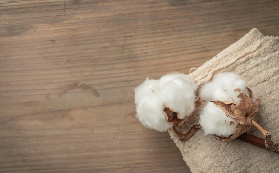 BCI良好棉花認證對棉花種植可持續體系標準追溯性