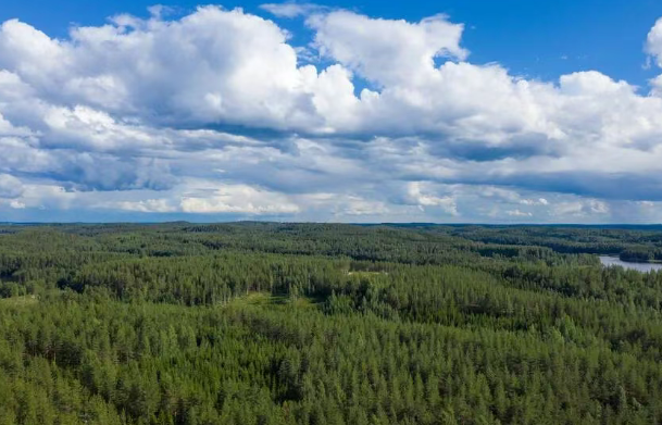 EUDR?歐盟零毀林法案對出口產品盡職調查需要注意事項要求