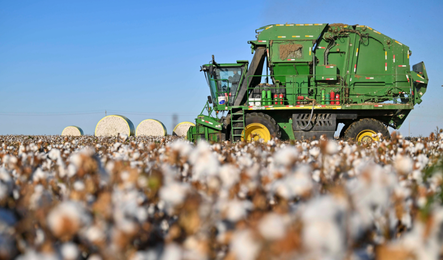 BCI良好棉花對紡織企業CoC標準包含四種模型選項清單