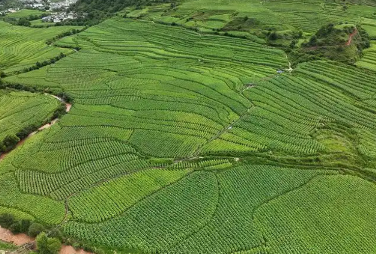 CDP碳披露對(duì)企業(yè)申請(qǐng)?zhí)顚?xiě)問(wèn)卷新增披露范圍評(píng)級(jí)體系標(biāo)準(zhǔn)