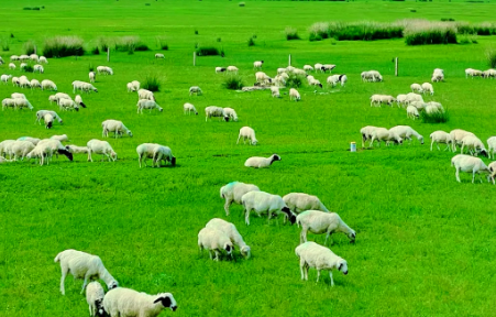 eudr歐盟零毀林法案對適用行業源頭管控追溯規劃標準