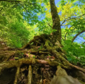 SCS翠鳥認(rèn)證對適用行業(yè)標(biāo)準(zhǔn)化機(jī)制與分級管理規(guī)范